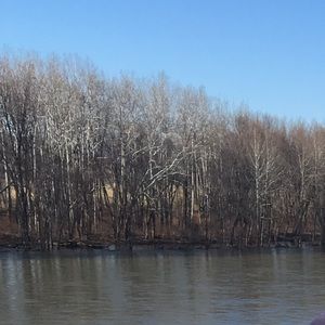 Meet your Posher, Kara